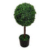 Planta decorativa cu ghiveci, Bolla I, Plastic, Verde, 30x65 cm