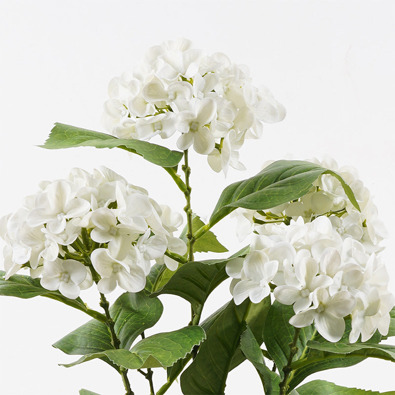 Plantă decorativă cu ghiveci Hydrangea, Alb, 35x50 cm