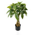 Plantă decorativă cu ghiveci Pachira, Plastic, Verde, 40x60 cm