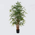 Plantă decorativă cu ghiveci Rhapis Palm, Plastic, Verde, 80x180 cm