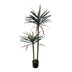 Planta decorativa Dracaena palma în ghiveci, Înaltime 125cm