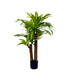 Planta decorativa Dracaenaghiveci, verde, H110cm