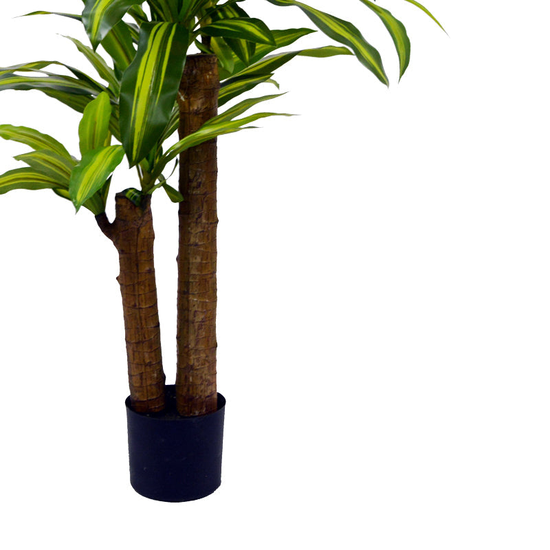 Planta decorativa Dracaenaghiveci, verde, H110cm