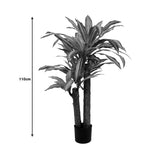 Planta decorativa Dracaenaghiveci, verde, H110cm