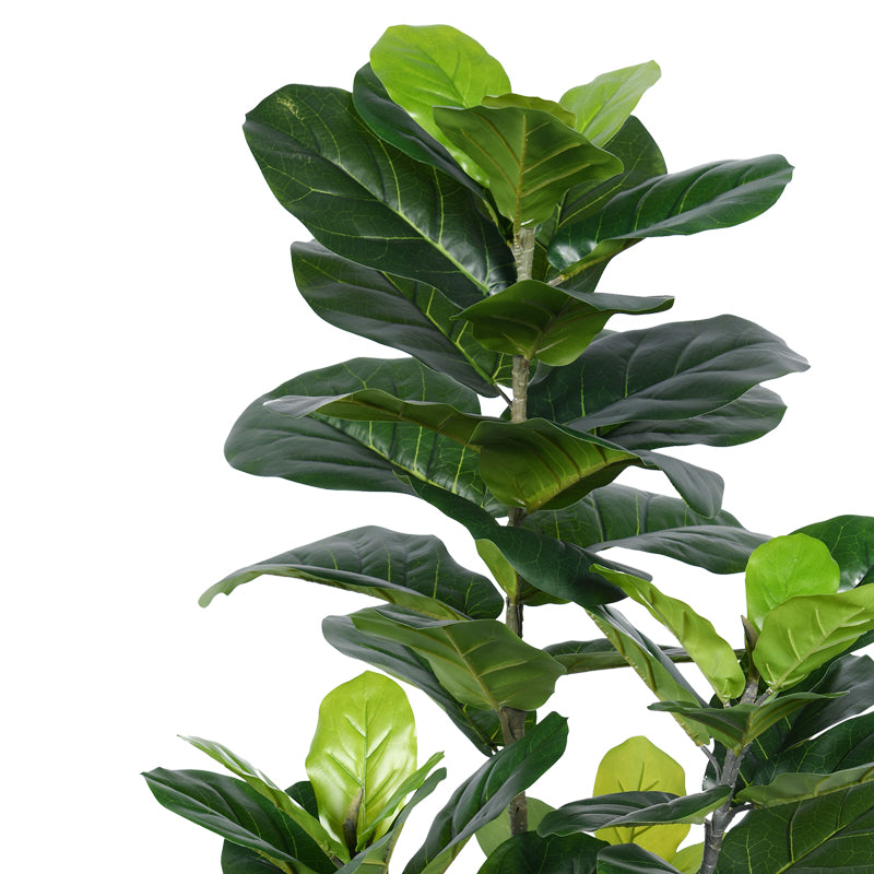 Planta decorativa Fiddleheadghiveci, verde, H120cm, imagine suplimentara