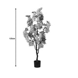 Planta decorativa Floarea de fasoleghiveci, alb, 125 cm