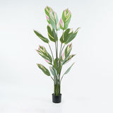 Planta decorativă în ghiveci Aglaonema, plastic, verde, 80x150 cm