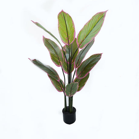 Plantă decorativă în ghiveci Calathea, Plastic, Verde, 68x120 cm