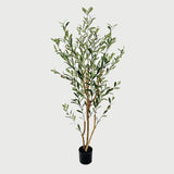Plantă decorativă în ghiveci, Olia, Plastic, Verde, 65x55x180 cm