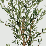Plantă decorativă în ghiveci, Olia, Plastic, Verde, 65x55x180 cm