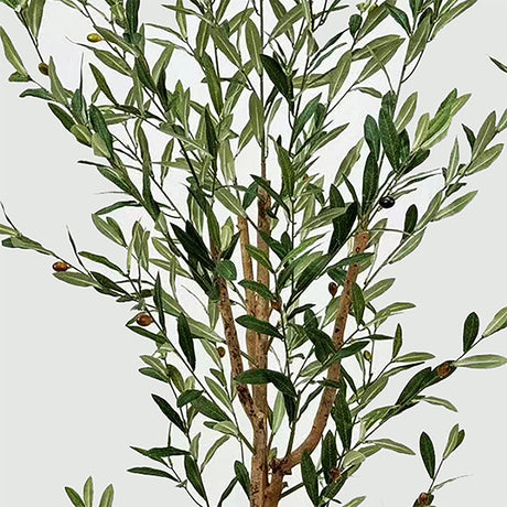 Plantă decorativă în ghiveci, Olia, Plastic, Verde, 65x55x180 cm
