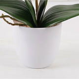 Plantă decorativă în ghiveci, Orhidee Orchid Beauty, Sintetic, Mov, 30x13x46 cm