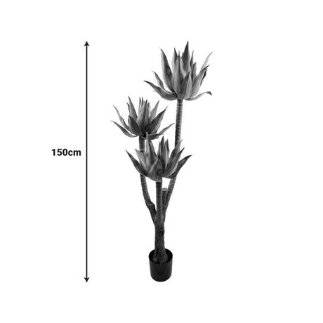 Planta decorativa Lotus cu ghiveci, Înaltime 150cm