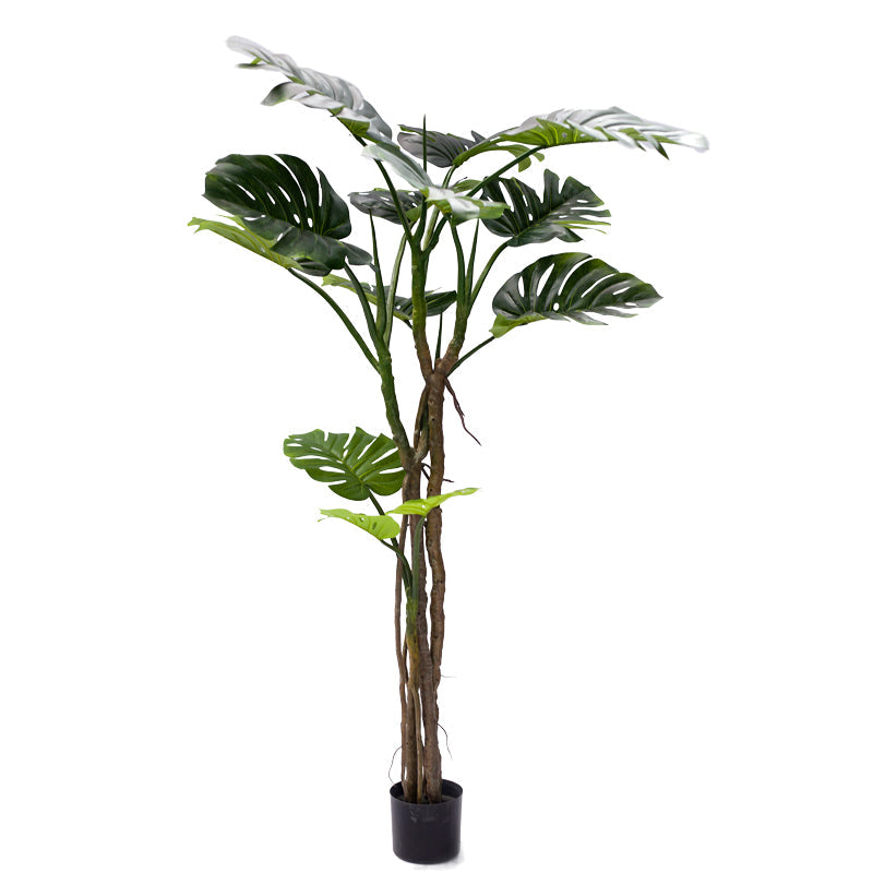 Planta decorativa Monstera III, Negru, inaltime 180 cm