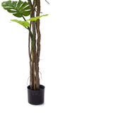 Planta decorativa Monstera III, Negru, inaltime 180 cm