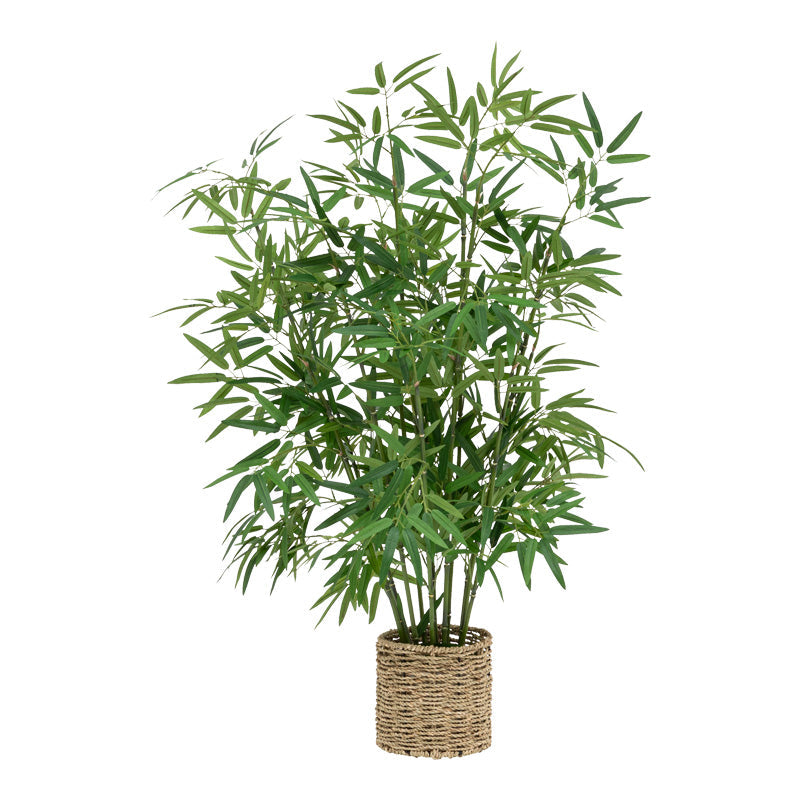 Planta ghiveci Belica, Verde, D45x100 cm