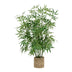 Planta ghiveci Belica, Verde, D45x100 cm