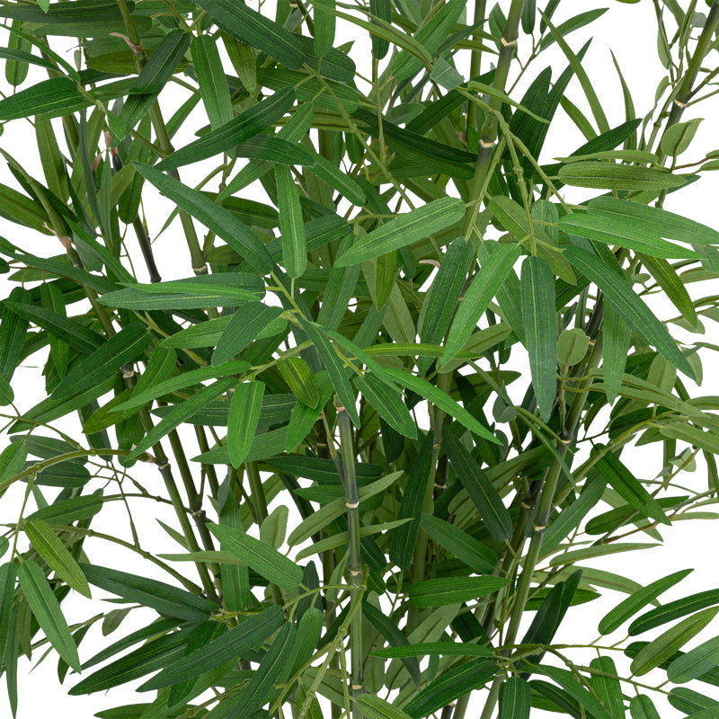 Planta ghiveci Belica, Verde, D45x100 cm