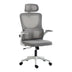 Scaun de birou directorial Mainz, 50x60x122 cm