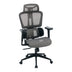 Scaun de birou ergonomic Ergo Flow, Negru-Gri, 73x64x112-135 cm