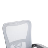 Scaun de birou manager Annalize plasa, Gri, 57x53x100 cm
