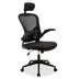 Scaun de birou Manager Ergoline cu plasa, neagra, 65x62 cm