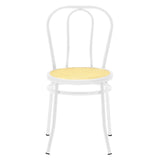 Scaun Vienna rattan metal, Alb - Bej, 100x200 cm - Bej