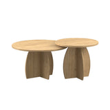 Set 2 Masute Cafea BSH-1902-FF-1 Home Collection® Bohem, Stejar, 100x50x100 cm