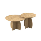Set 2 Masute Cafea BSH-1902-FF-1 Home Collection® Bohem, Stejar, 100x50x100 cm