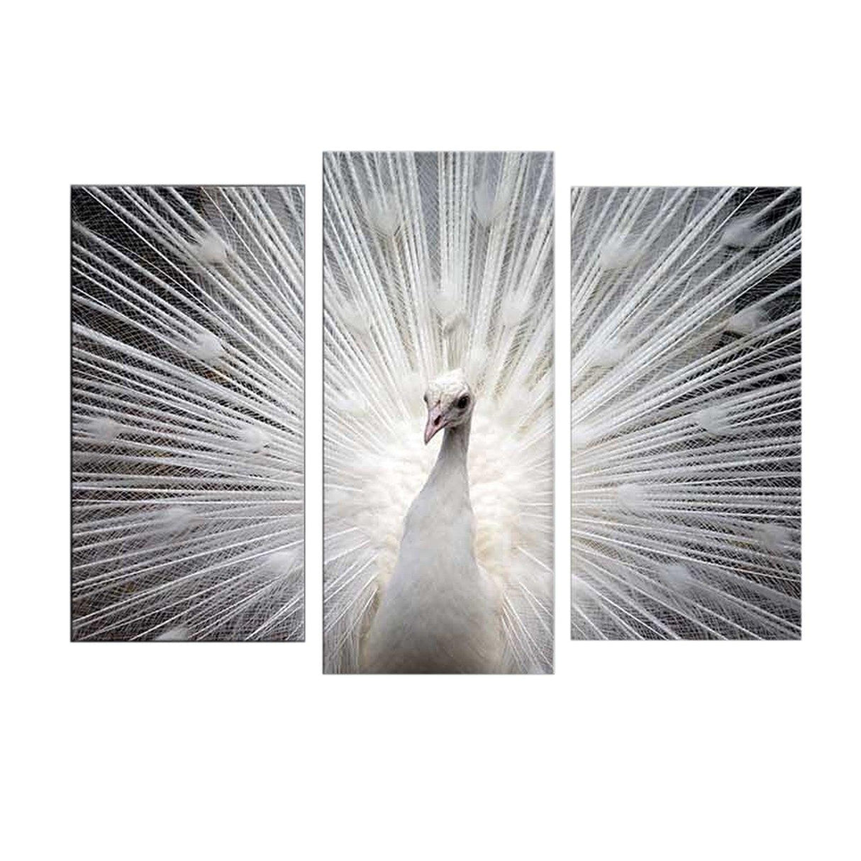 Tablou Canvas cu Led Paun, Multicolor, 66x45 cm