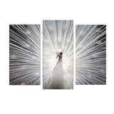Tablou Canvas cu Led Paun, Multicolor, 66x45 cm