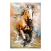 Tablou canvas Horse, Multicolor, 60x90 cm