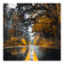 Tablou canvas imprimat digital Savgone, Multicolor, 50x50 cm
