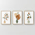 Tablou decorativ triptic Aural, Multicolor, 33x48 cm