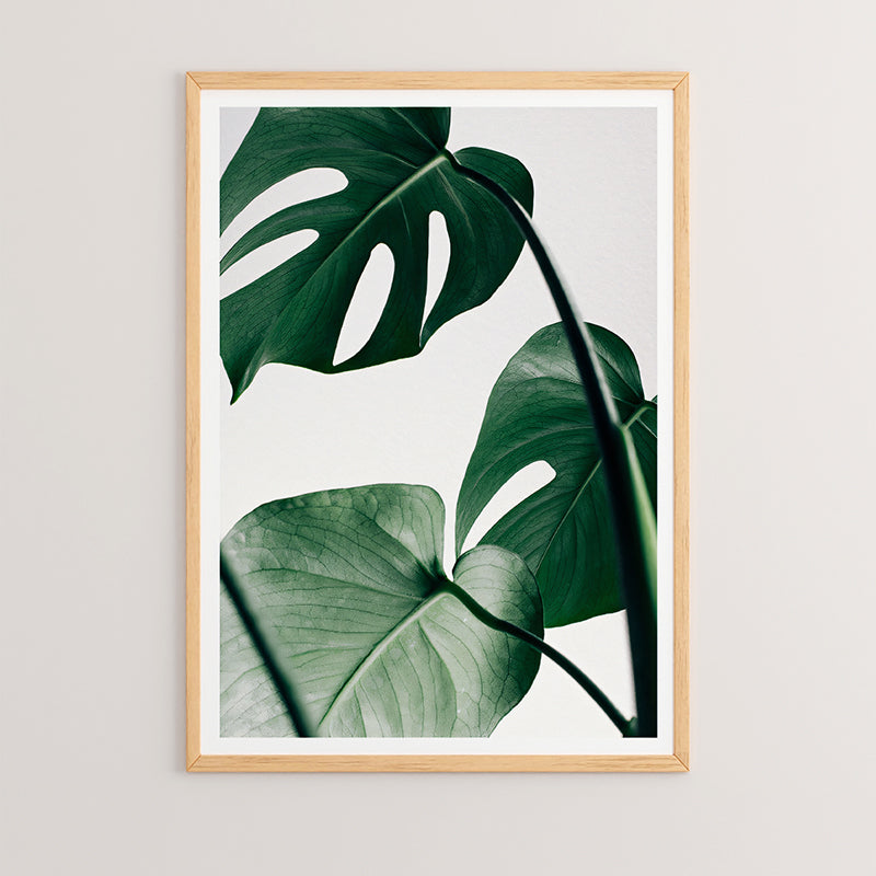 Tablou Leafy, Lemn, Multicolor, 33x48 cm
