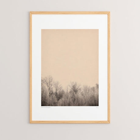 Tablou Quany, Multicolor, 33x48 cm