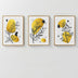 Tablou Triptic Jerif, Ramă Lemn, Multicolor, 33x48 cm