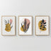 Tablou triptic Kereby, Multicolor, 33x48 cm