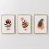Tablou triptic Virel, Pânză și Cadru, Multicolor, 33x48 cm