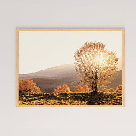 Tablou Vila, Multicolor, 48x33 cm